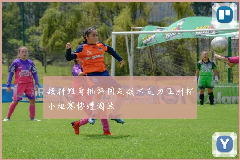 扬科维奇批评国足战术乏力亚洲杯小组赛惨遭淘汰